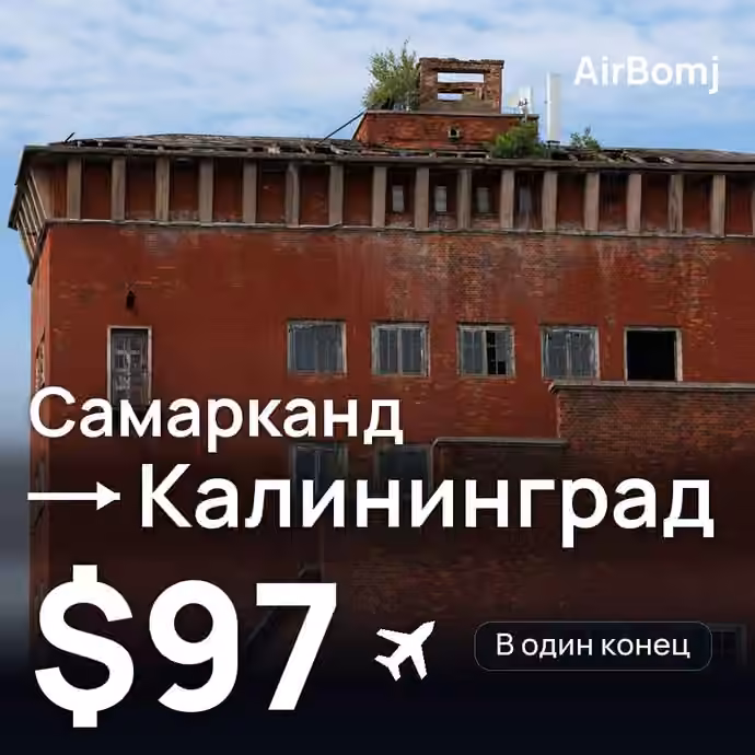 Самарканд → Калининград — лучшая цена $97