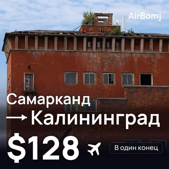 Самарканд → Калининград — лучшая цена $126