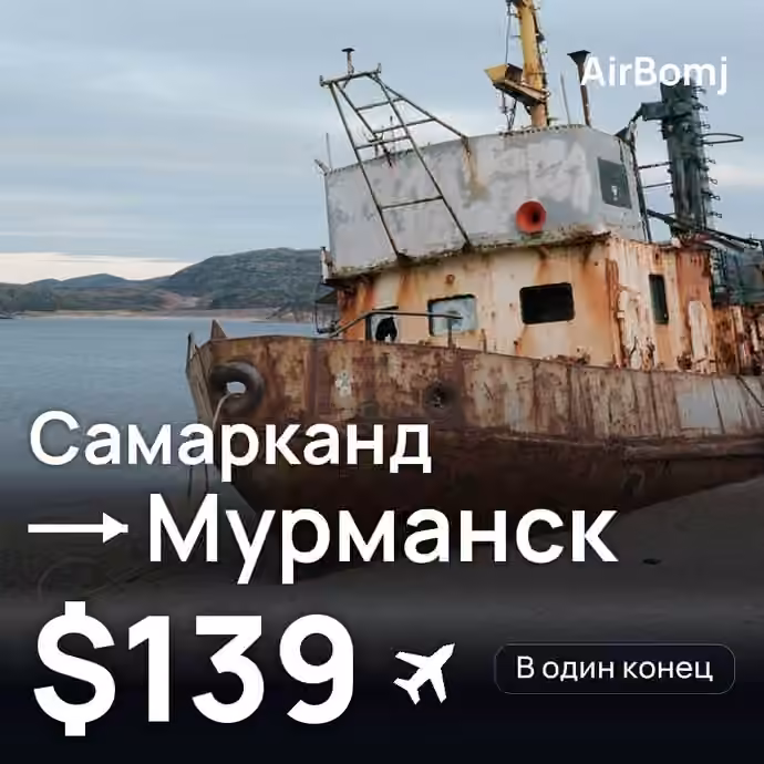 Самарканд → Мурманск — лучшая цена $139