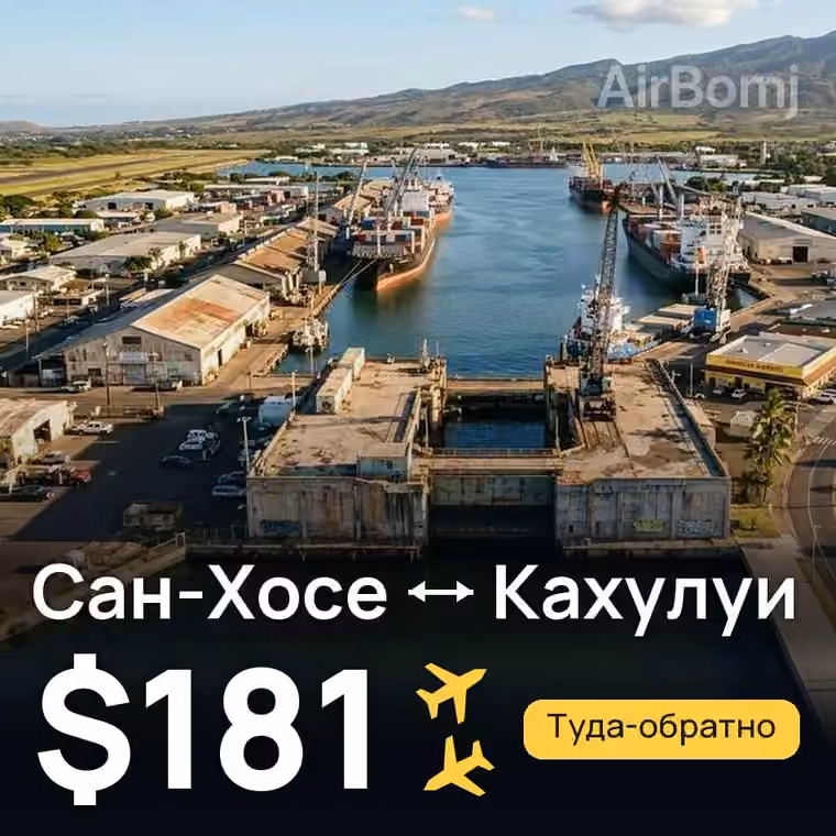 Сан-Хосе → Кахулуи за $181