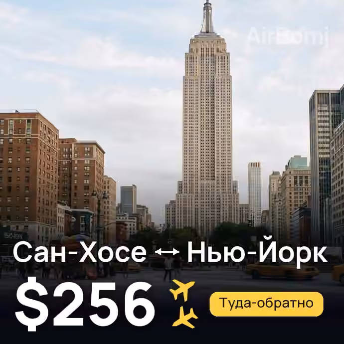 Сан-Хосе → Нью-Йорк за $256
