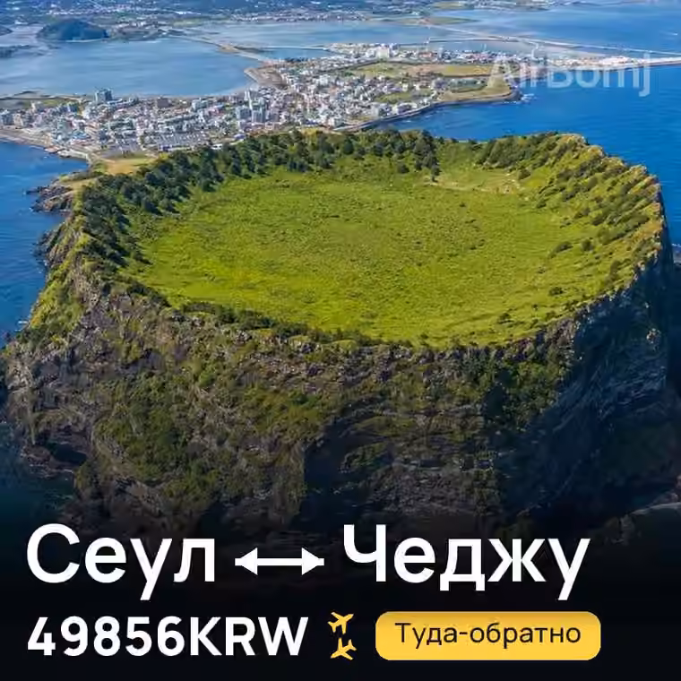 Сеул → Чеджу за 49856KRW