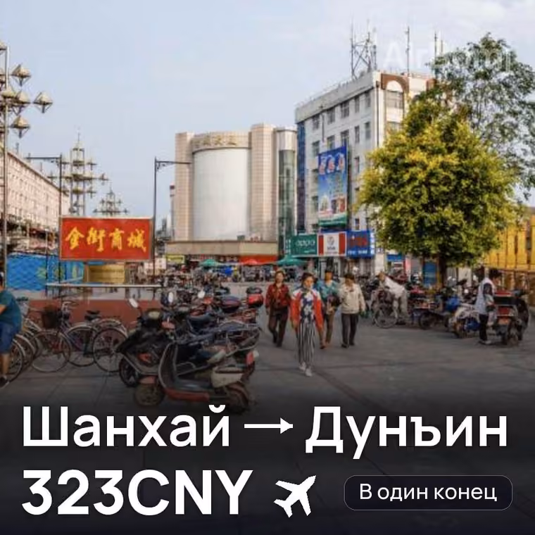 Шанхай → Дунъин — лучшая цена 323CNY