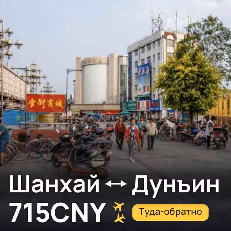 Шанхай → Дунъин — лучшая цена 715CNY