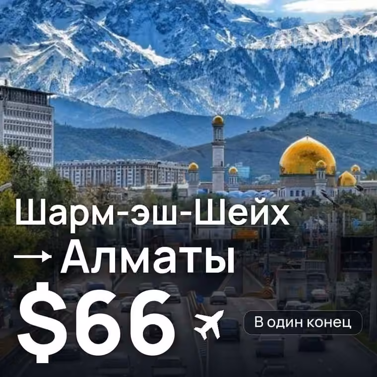 Шарм-эш-Шейх → Алматы за $66