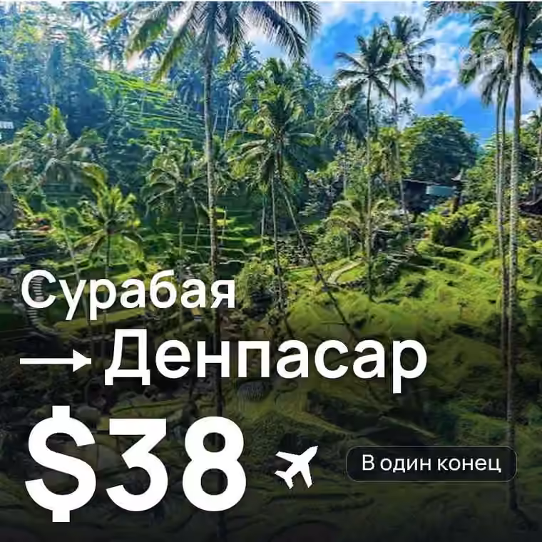 Сурабая → Денпасар (Бали) — лучшая цена $38