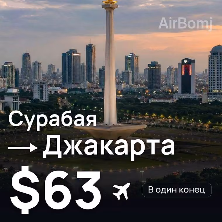 Сурабая → Джакарта — лучшая цена $63