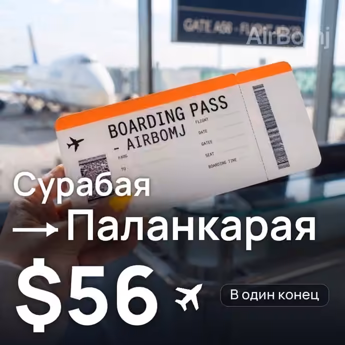 Сурабая → Паланкарая за $56