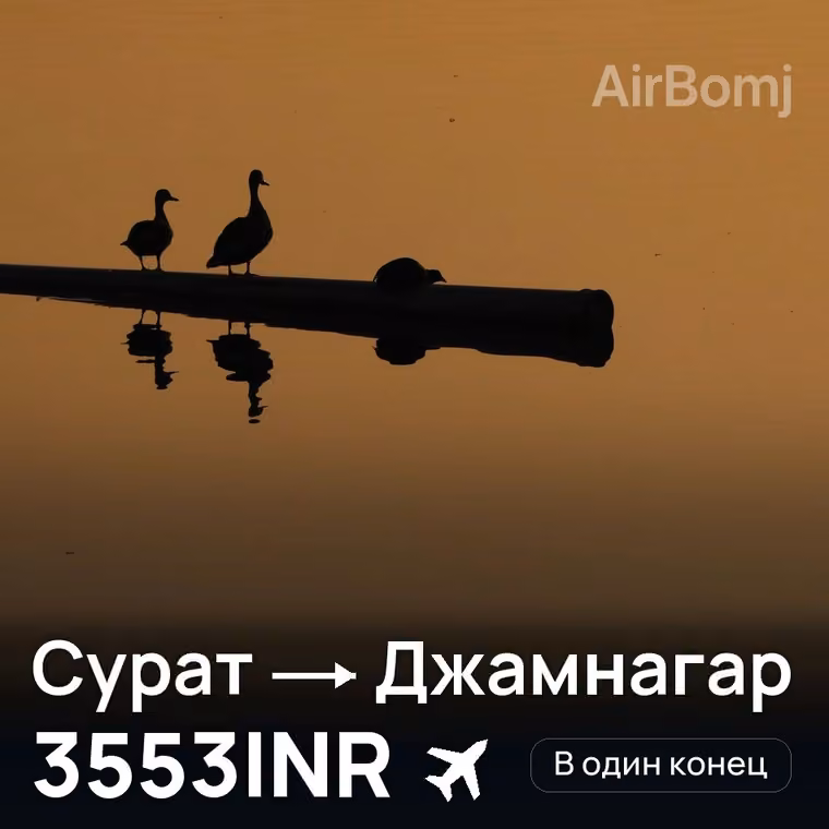 Сурат → Джамнагар — лучшая цена 3553INR
