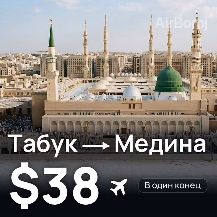 Табук → Медина за $42