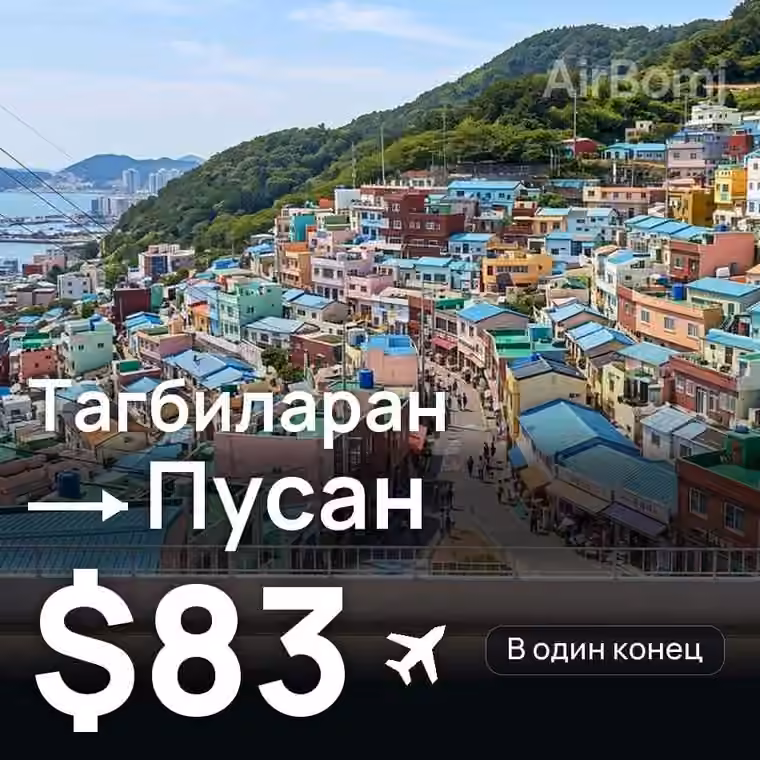 Тагбиларан → Пусан — лучшая цена $83
