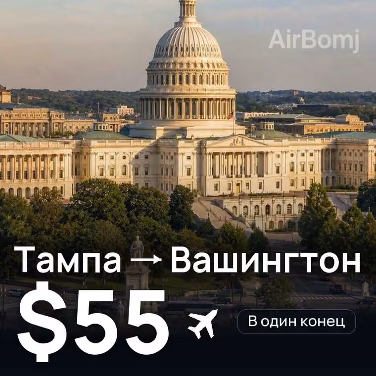 Тампа → Вашингтон за $55