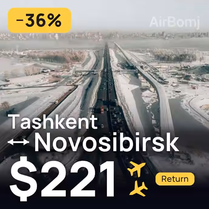 Tashkent → Novosibirsk for $221