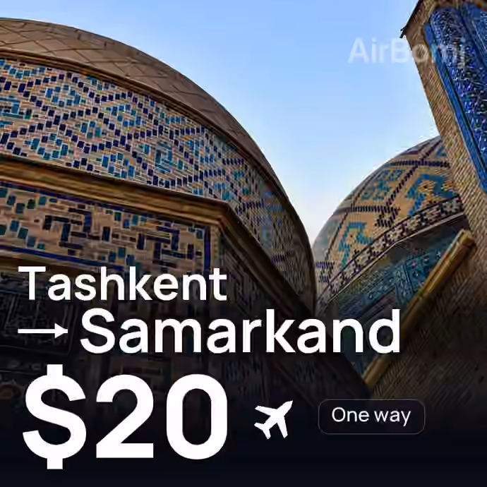 Tashkent → Samarkand for $20