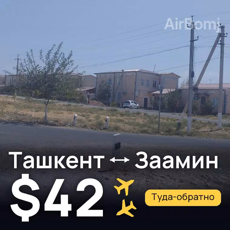 Ташкент → Заамин — лучшая цена $31