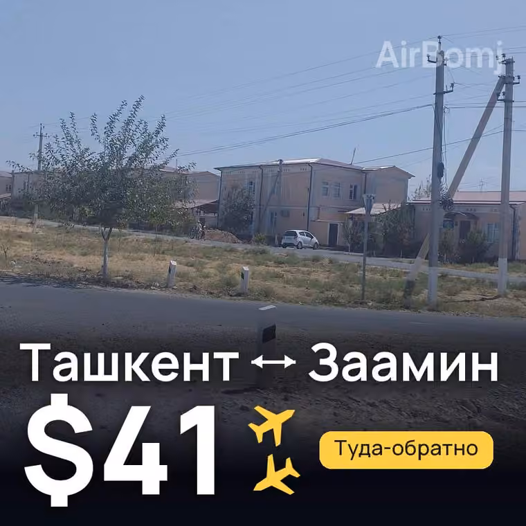 Ташкент → Заамин за $41