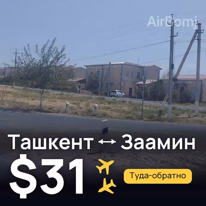 Ташкент → Заамин за $31