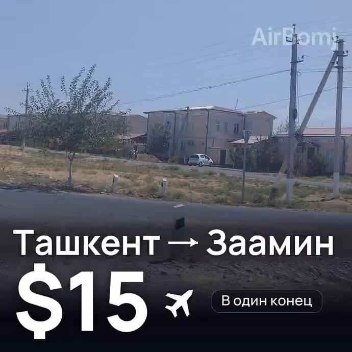 Ташкент → Заамин за $15