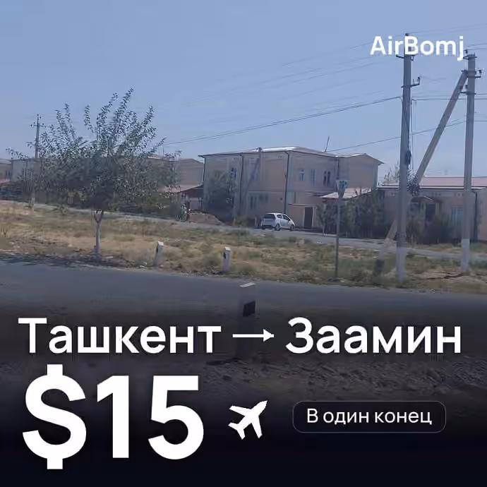Ташкент → Заамин — лучшая цена $15
