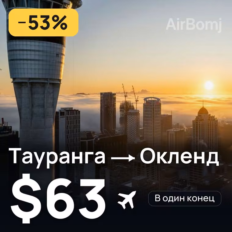 Тауранга → Окленд за $63
