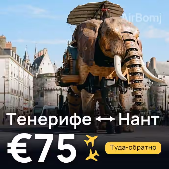 Тенерифе → Нант за €75