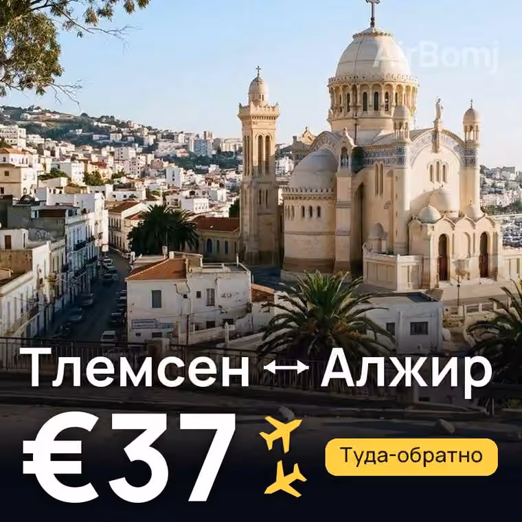 Тлемсен → Алжир за €37