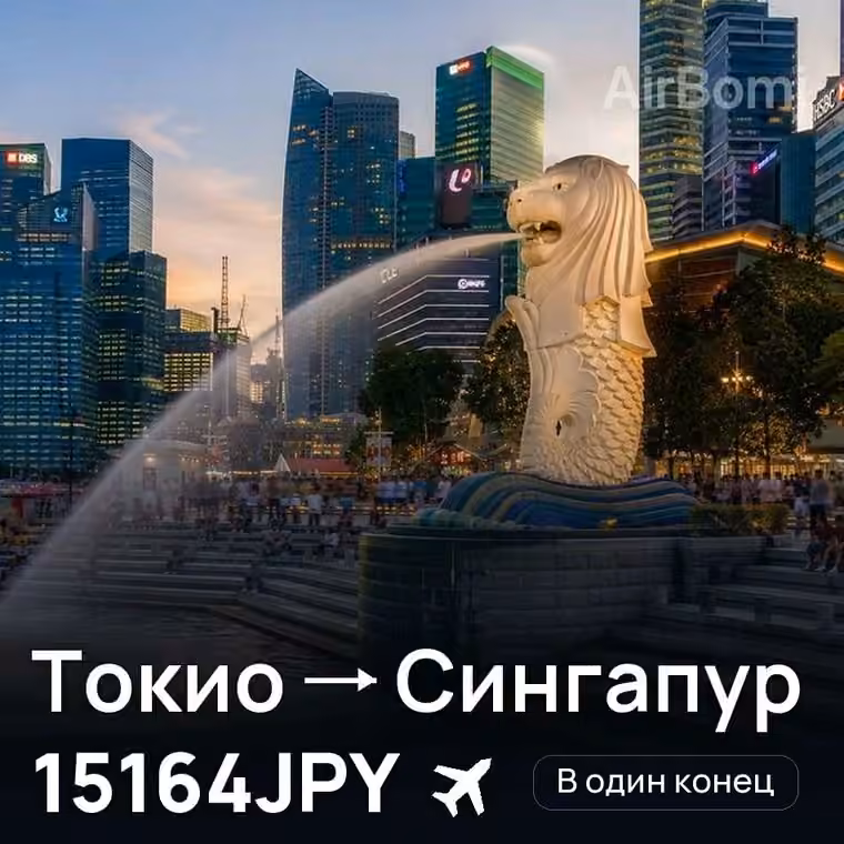 Токио → Сингапур за 20221JPY