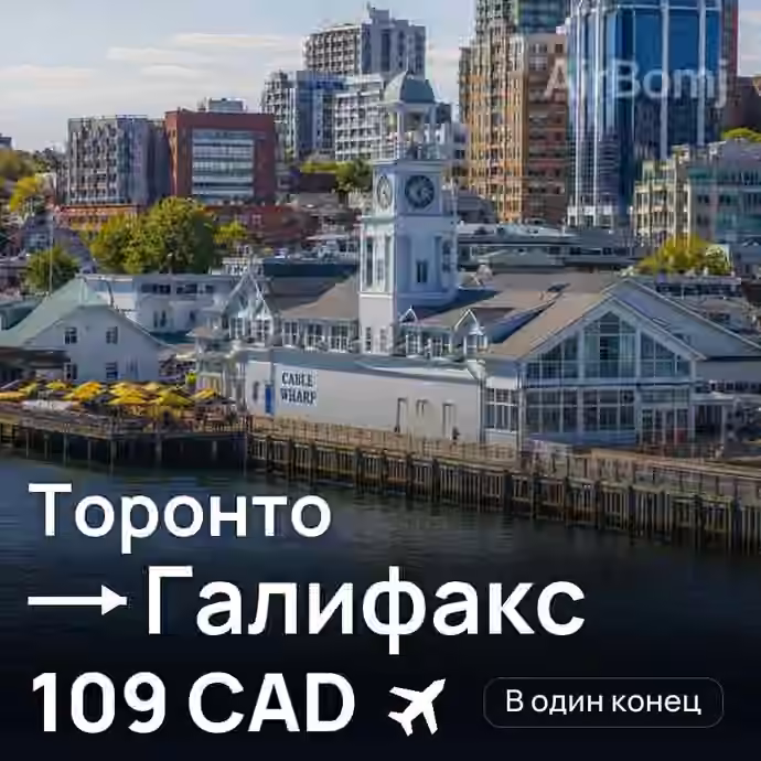 Торонто → Галифакс — лучшая цена 91 CAD