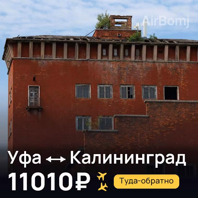 Уфа → Калининград за 11010₽