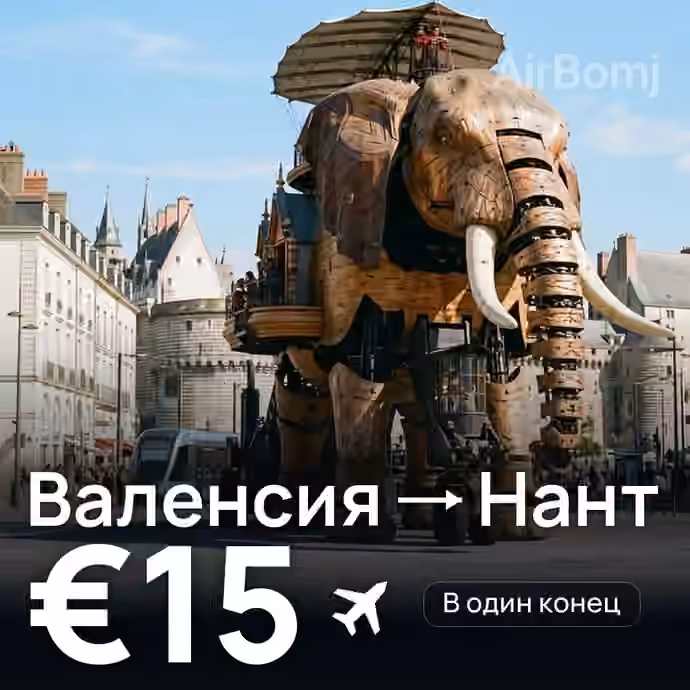 Валенсия → Нант за €15