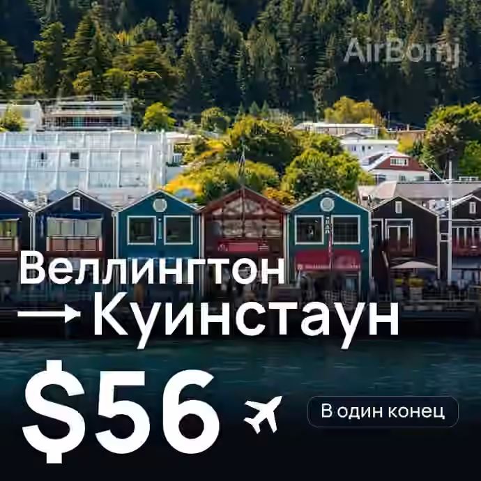 Веллингтон → Куинстаун — лучшая цена $52