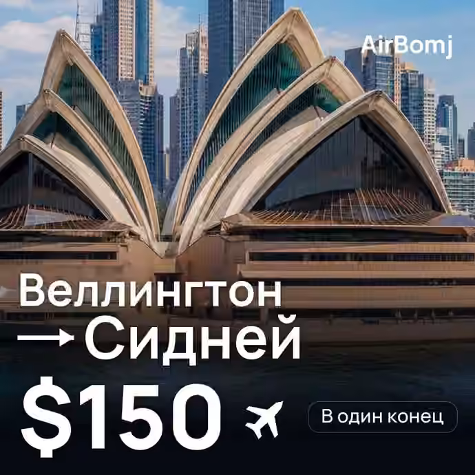 Веллингтон → Сидней — лучшая цена $150